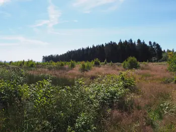 Signal de Botrange (Belgium)